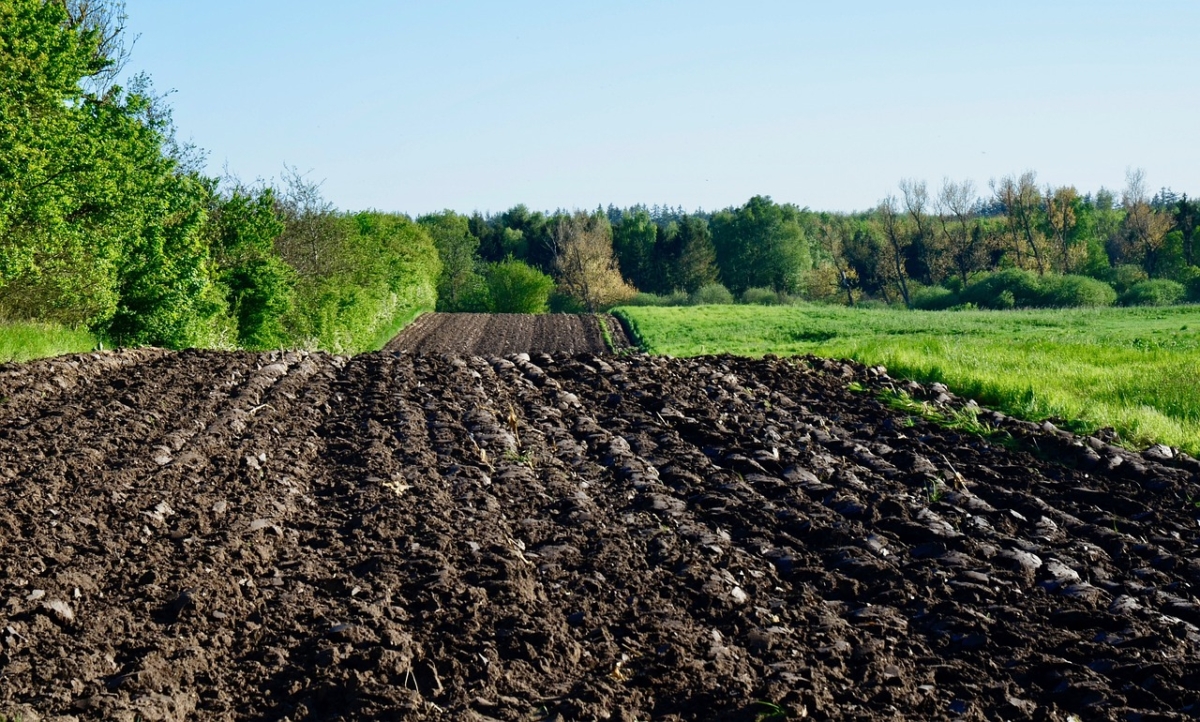 Земли опустевших павлодарских аулов предложили засевать