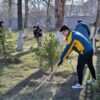 В Павлодарской области 27 апреля пройдет «Марафон чистоты»