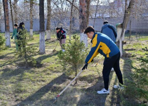 В Павлодарской области 27 апреля пройдет «Марафон чистоты»