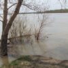 Большая вода дойдет до Павлодара 24 апреля