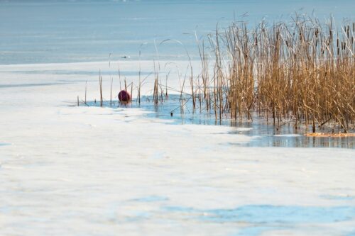 Павлодарского рыбака оштрафовали за выход на тонкий лед