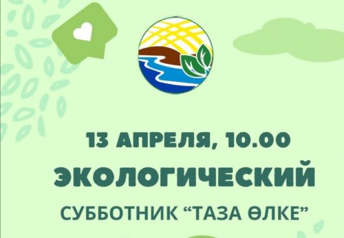В Павлодаре объявили экологический субботник