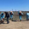 В Павлодарской области начали обработку против гнуса