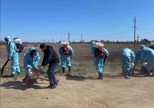 В Павлодарской области началась обработка против гнуса