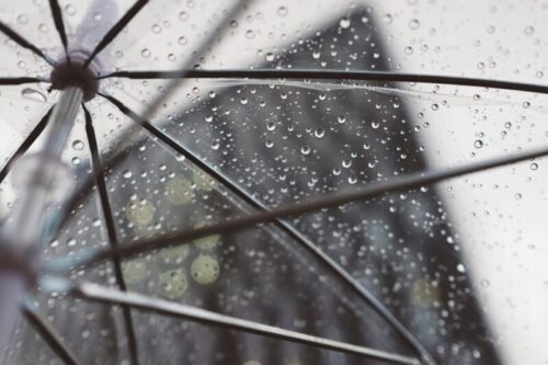 Дождливая погода ожидается 15 мая в Павлодаре