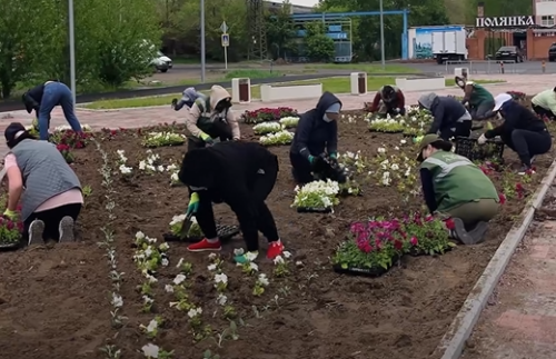 В скверах и парках Павлодара высадили цветы