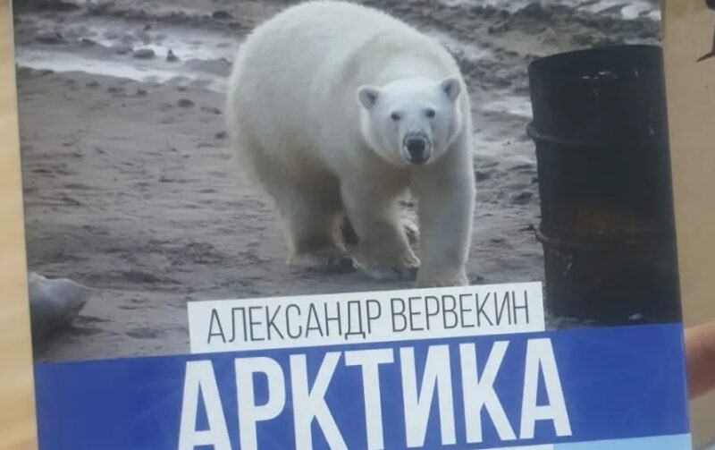 В Павлодаре презентуют книгу Александра Вервекина об Арктике  