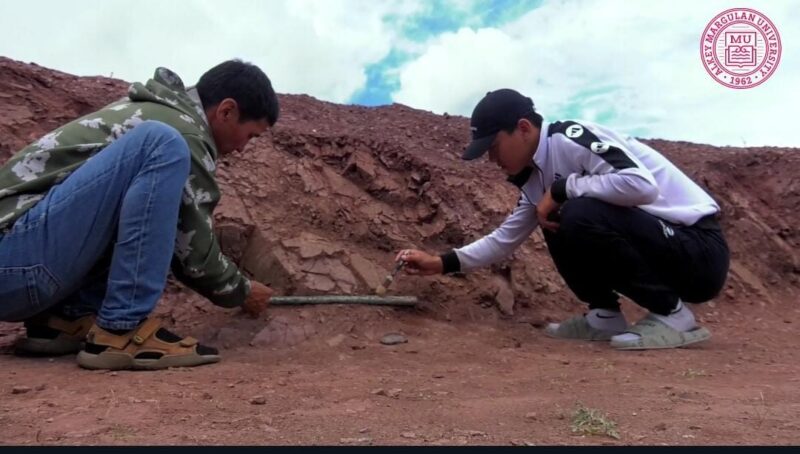 Наконечник копья эпохи бронзы обнаружили павлодарские студенты-археологи