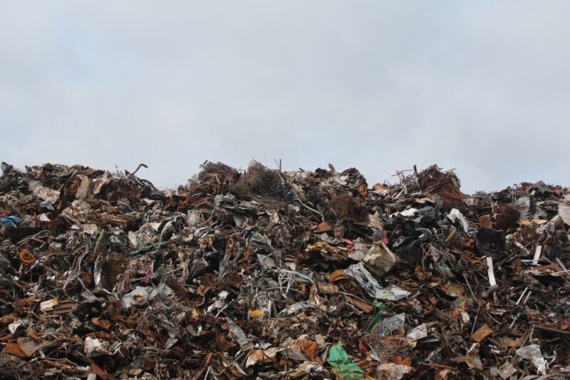 В Павлодарской области акимат оспаривает наказание за непорядок с мусором