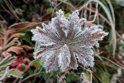 До минус 5°C ожидается в Павлодаре