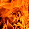 В пойме Иртыша выгорел сухостой на площади 44 га