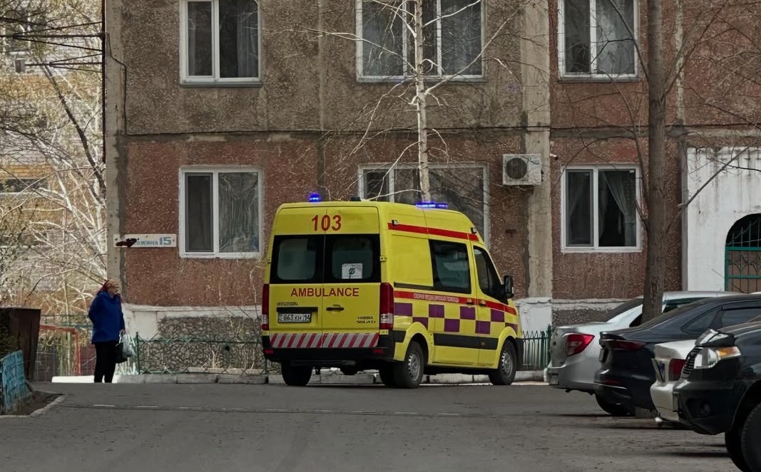Женщина и ее годовалая дочь пострадали в ДТП в Павлодаре