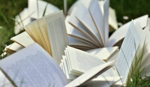Книжную «Дармарку» устроят в Павлодаре