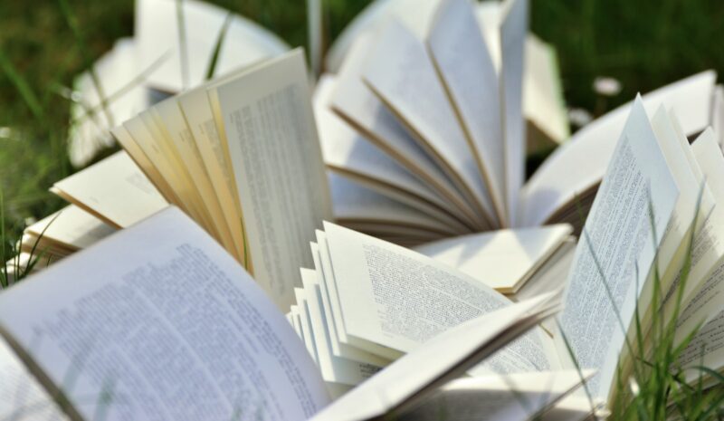 Книжную «Дармарку» устроят в Павлодаре