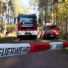 С начала пожароопасного сезона в павлодарских лесах произошло 15 пожаров