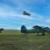 Ждать ли павлодарцам нашествия гнуса?