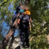 В Экибастузе спасатели сняли с дерева семилетнего мальчика