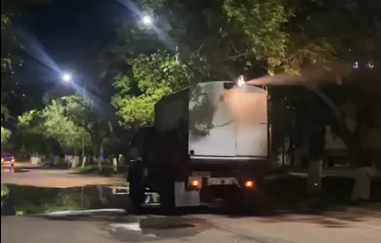 Гнус: 22 мая к обработке прибрежной части Павлодара приступят в 19.30