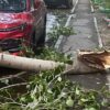 В Павлодарской области от урагана пострадало 16 человек