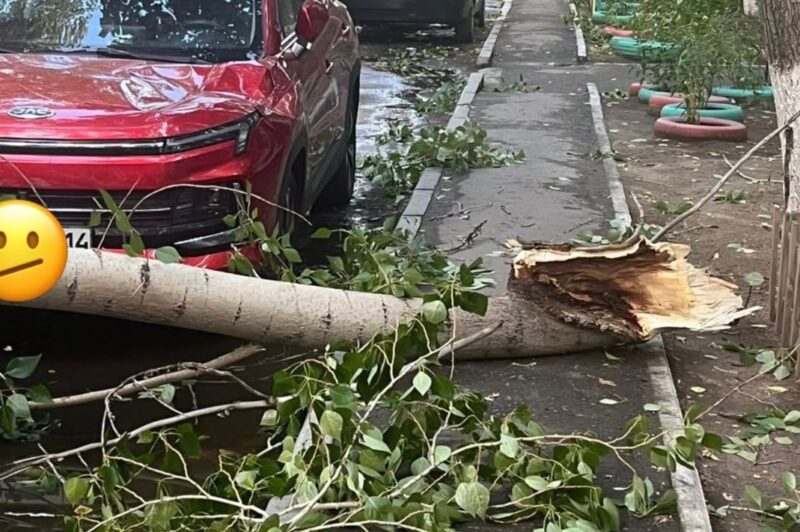 В Павлодарской области от урагана пострадало 16 человек