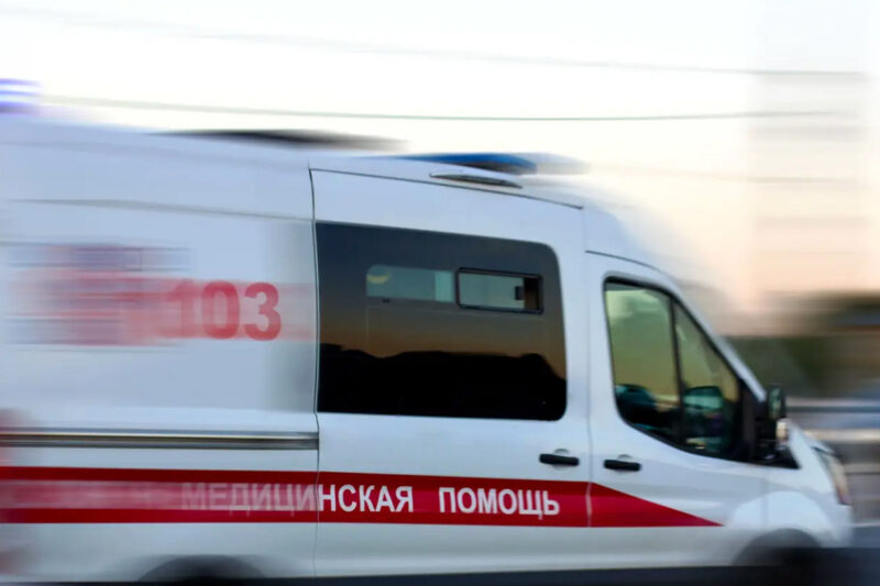 В Аксу женщину насмерть придавило деревом