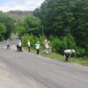 Студенты помогли лесникам Баянаульского нацпарка собрать мусор после отдыхающих