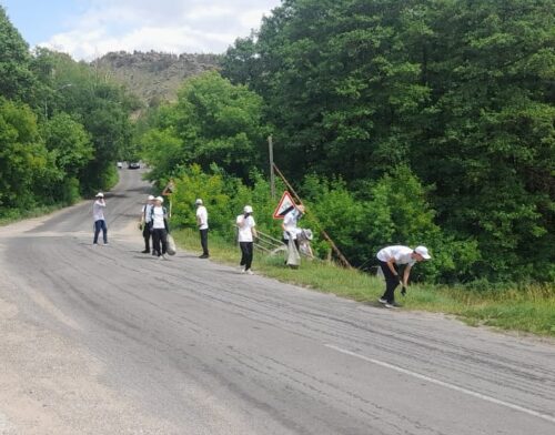 Студенты помогли лесникам Баянаульского нацпарка собрать мусор после отдыхающих