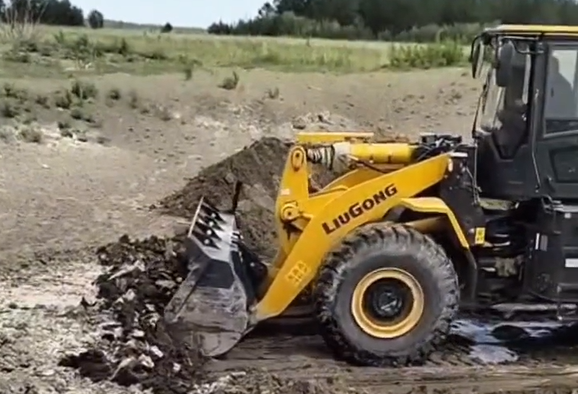 Жара: в резервате «Ертіс орманы» расчищают водопои для животных