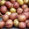 На фермерском рынке Павлодара 12 июля пройдет сельхозярмарка