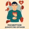 После 12 отказов первое согласие: павлодарские трансплантологи смогли получить сердце и почки для спасения троих пациентов