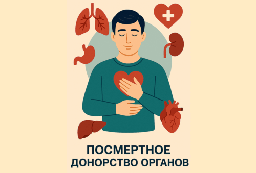 После 12 отказов первое согласие: павлодарские трансплантологи смогли получить сердце и почки для спасения троих пациентов