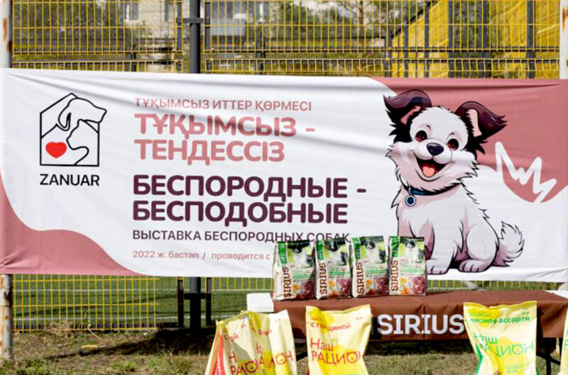 Дарите любовь