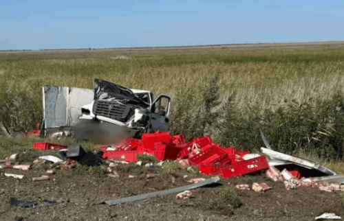 На трассе Павлодар-Омск «Газель» насмерть сбила пешехода