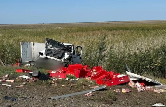 На трассе Павлодар-Омск «Газель» насмерть сбила пешехода