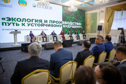 «Экологические проблемы нажатием кнопки не решаются»