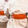 В Павлодаре устроят показательные выступления каратистов