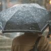 В Павлодаре на выходных ожидается дождь со снегом
