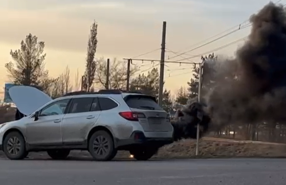 Павлодарские автомобилисты провалили эксперимент на отзывчивость