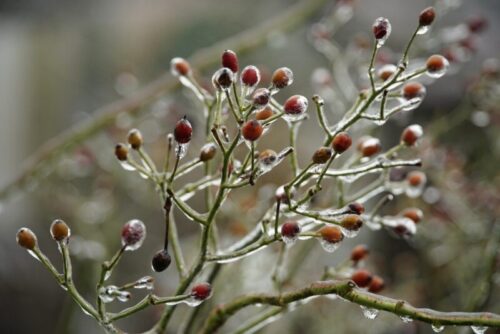 Жителей Павлодара предупредили о гололеде в ближайшие дни