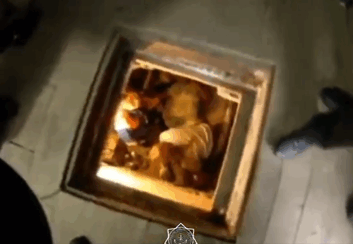 Упавшего в погреб пенсионера спасли в Экибастузе