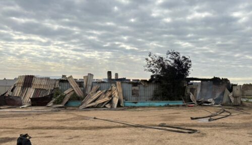 В КХ под Экибастузом скот гибнет от переохлаждения