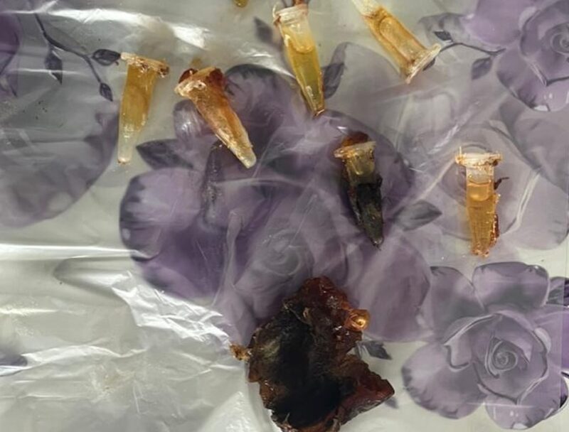 Гашиш в финиках пытались передать в колонию Павлодара