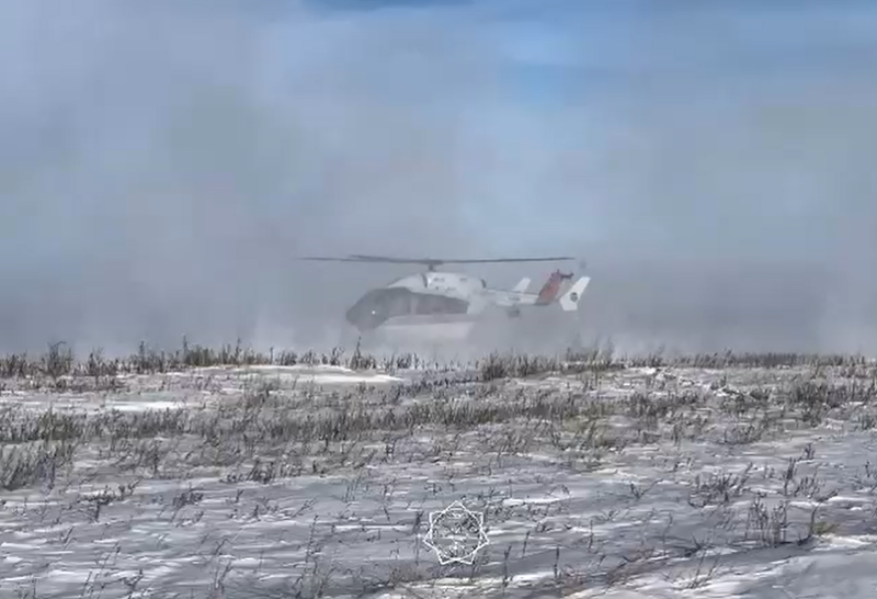 Пропавшего пастуха нашли в Павлодарской области