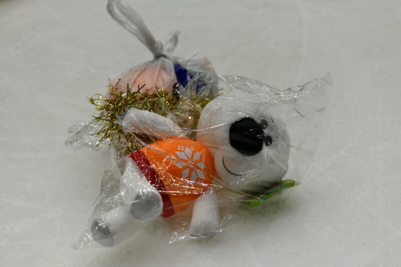 Благотворительную акцию «Мишкопад» устроят на хоккейном матче в Павлодаре