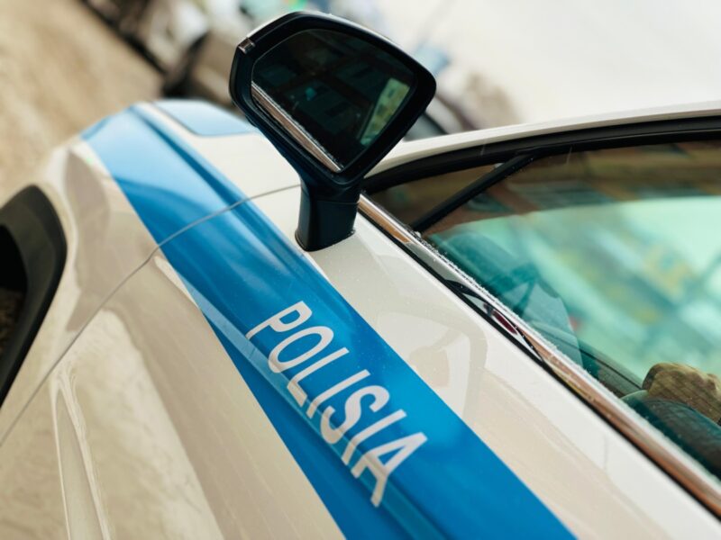 Застрелившего архаров браконьера задержали в Павлодарской области