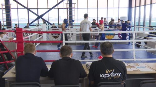 В Павлодаре стартовало республиканское первенство по кикбоксингу