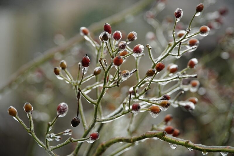 Штормовое предупреждение объявили на 31 декабря в Павлодаре