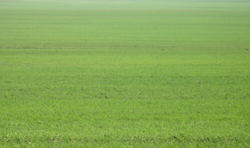 Землю стоимостью 100 млн тенге вернули государству в Павлодарской области