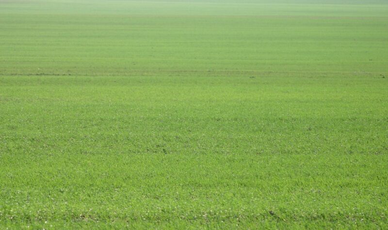 Землю стоимостью 100 млн тенге вернули государству в Павлодарской области