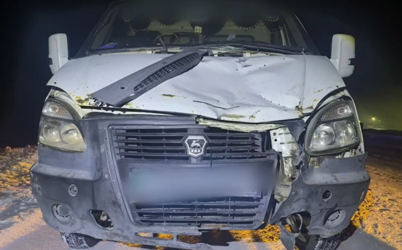 «Газель» насмерть сбила пешехода в Павлодарской области